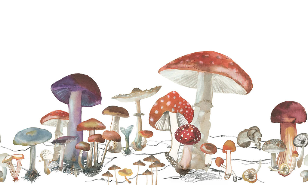 Wonder of Woods, Mushroom Mural Wallpaper closeup