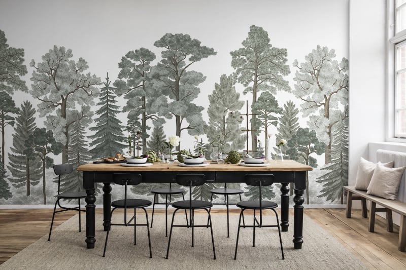 Forest wallpapers to bring nature inside your home