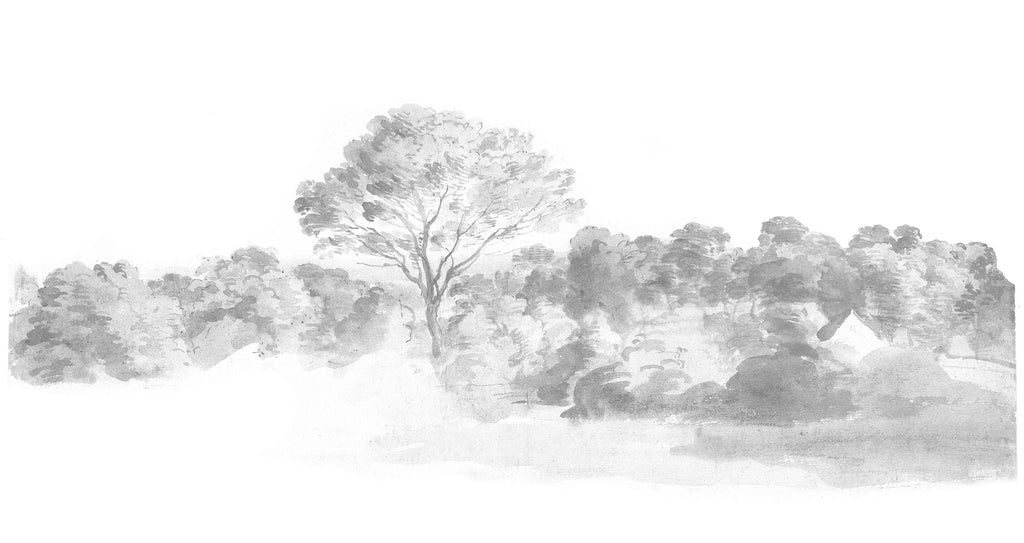 An Old World Arboretum, Watercolour Mural Wallpaper in Black & White