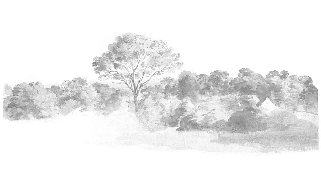 An Old World Arboretum, Watercolour Mural Wallpaper in Black and White close up