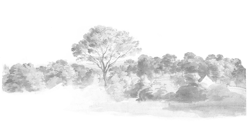 An Old World Arboretum, Watercolour Mural Wallpaper in Black and White close up