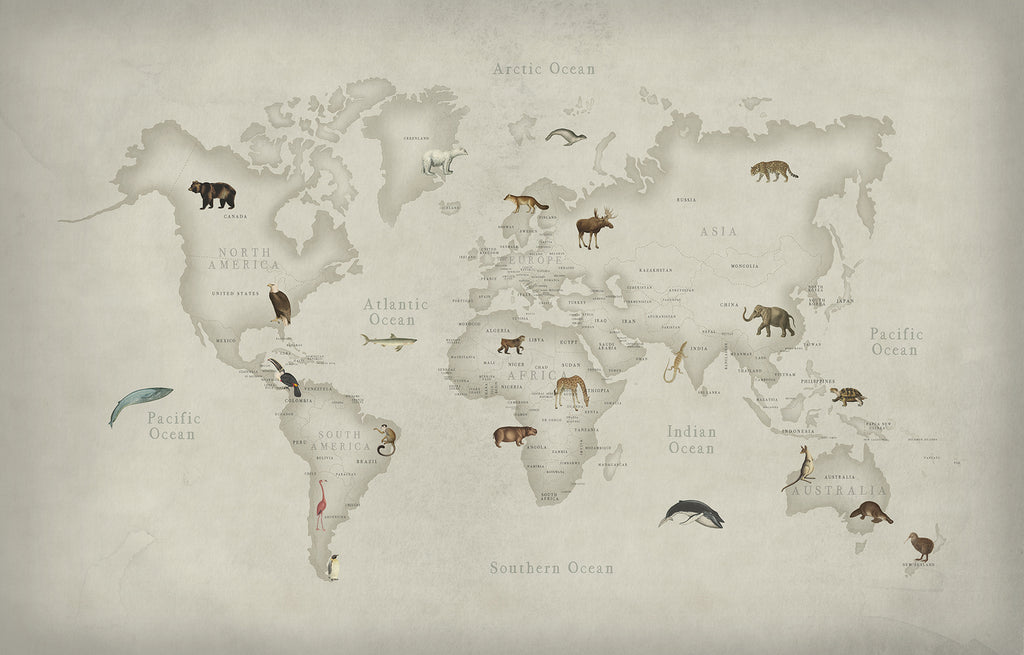 Animal Atlas, World Map Mural Wallpaper in Standard ColourwayAnimal atlas, World Map Mural Wallpaper featuring coloured animals in different continents