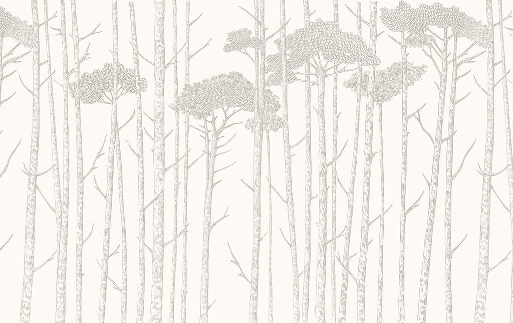 Ara's Birch Trees, Mural Wallpaper in Light Grey close up 