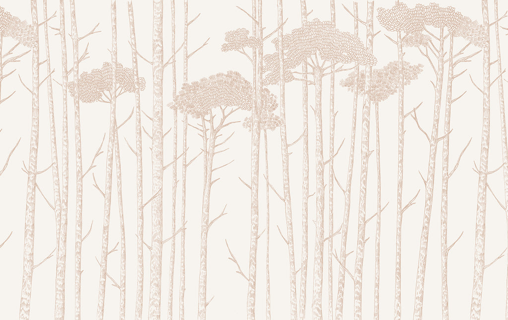 Ara's Birch Trees, Mural Wallpaper in Nude close up 