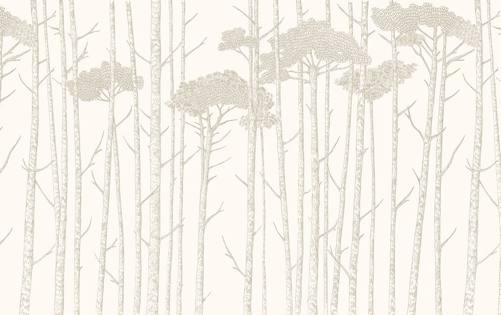 Ara's Birch Trees, Mural Wallpaper in Sand close up 