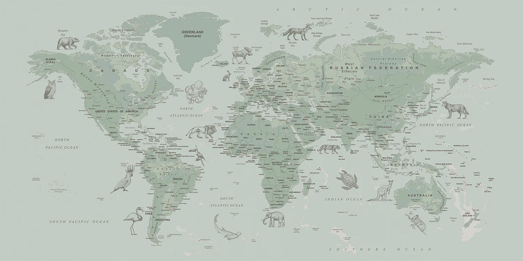Atlas Jungle, World Map Mural Wallpaper in Green Closeup