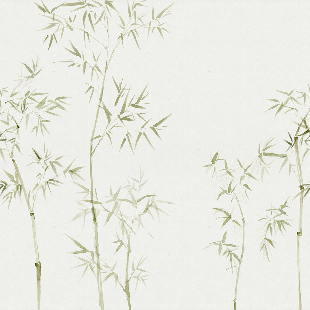 Bamboo Garden, Japanese Mural Wallpapercloseup
