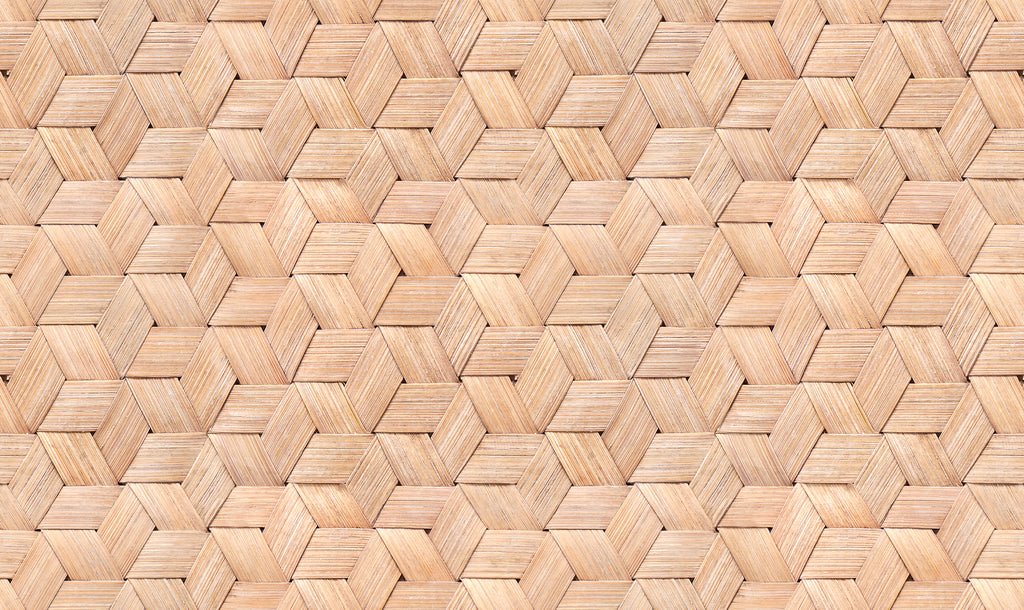 Birch Bark Braids, Pattern Wallpaper in brown colourway close up