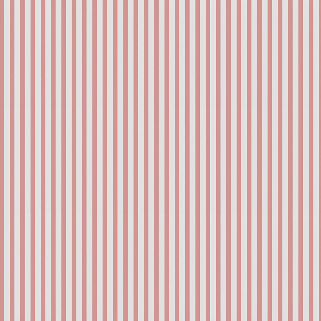 Delicate Stripes, Pattern Wallpaper in Blush Pink close up