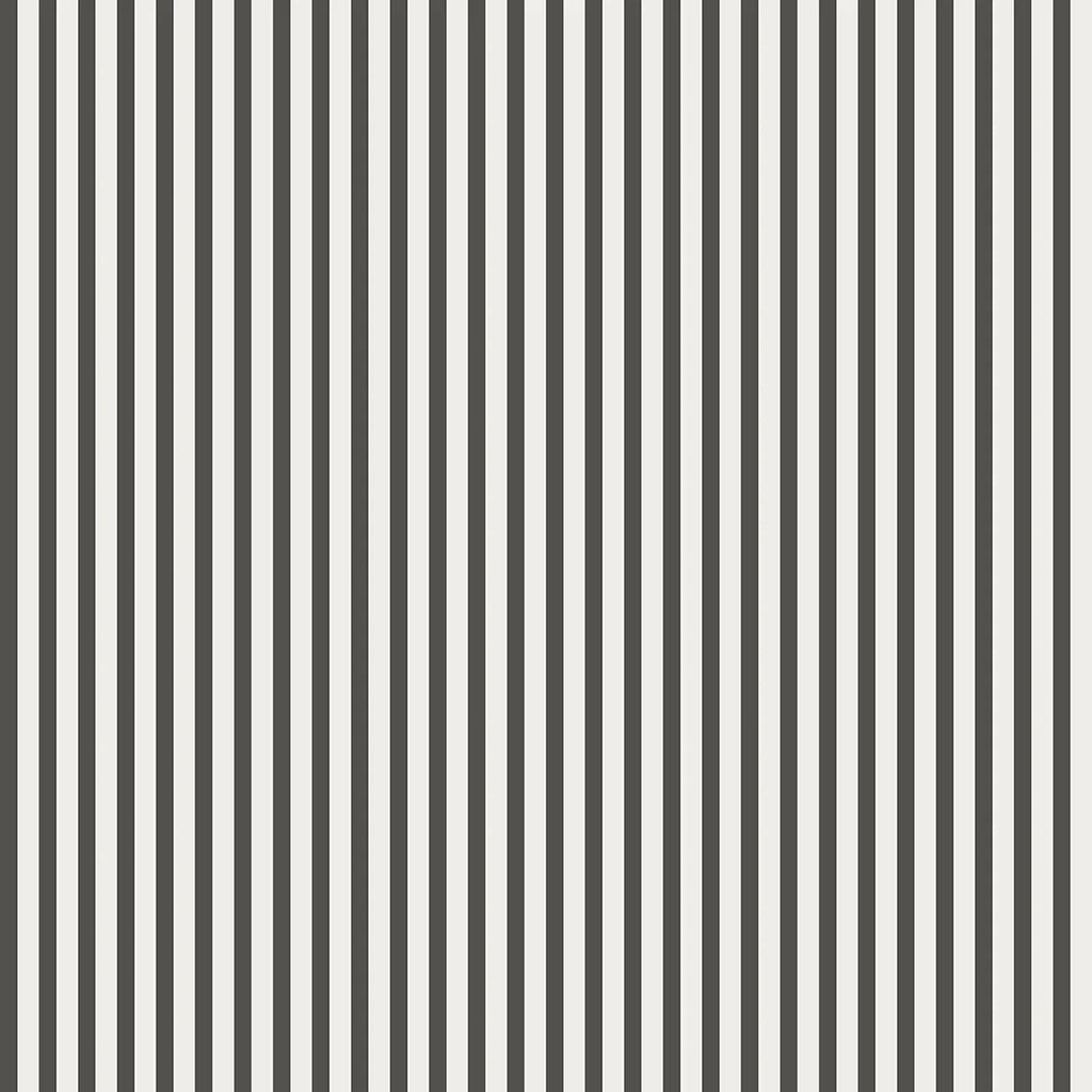 Delicate Stripes, Pattern Wallpaper in Dark Grey close up