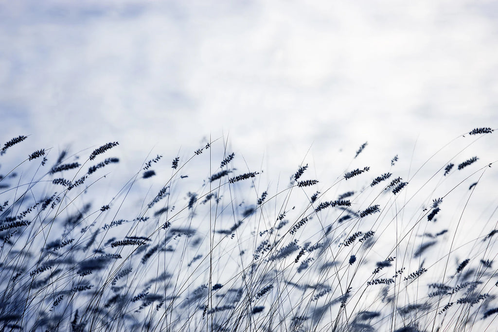 Dusk Breeze, Blue Landscape Wallpaper close up