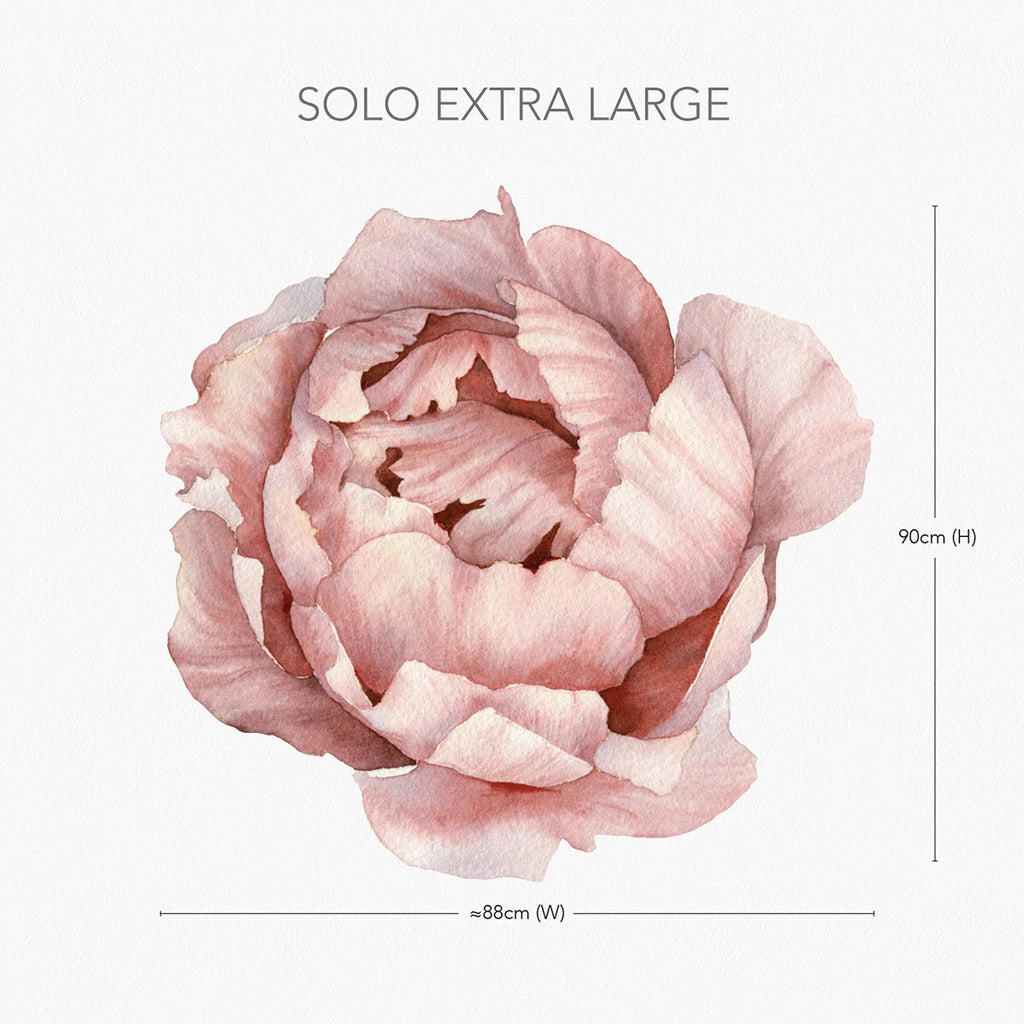 Extra Large Solo Peony, Wall Decals in Blush close up