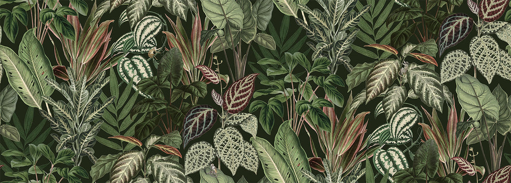 Night-time Jungle, Tropical Mural Wallpaper in forest green closeup