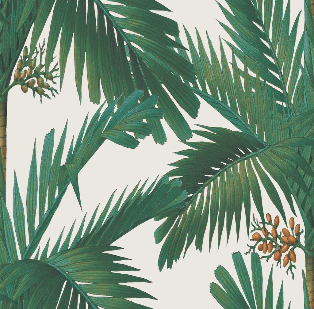 Palm Spring, Tropical Pattern Wallpaper in green colourway