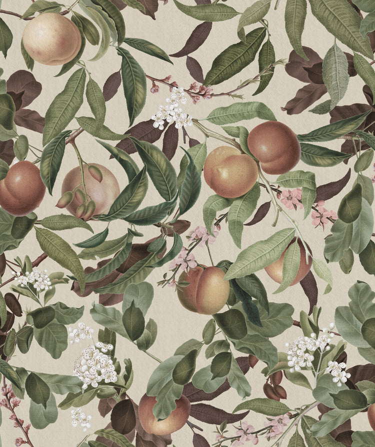 Peach Valley, Floral Pattern Wallpaper in Honey colourway