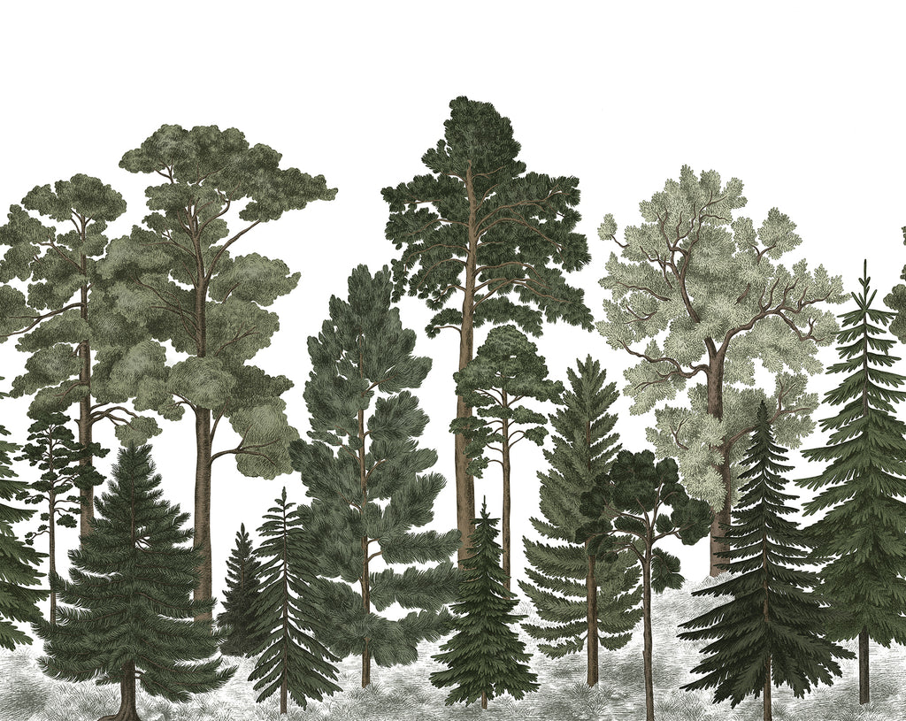 Scandinavian Forest, Mural Wallpaper in Forest Green Colourway