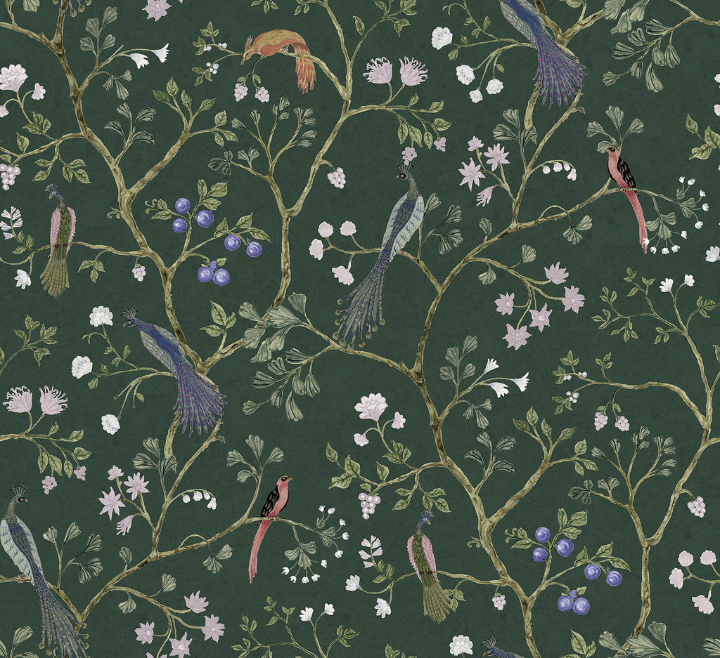 Song Birds, Animal Pattern Wallpaper featuring several colorful birds