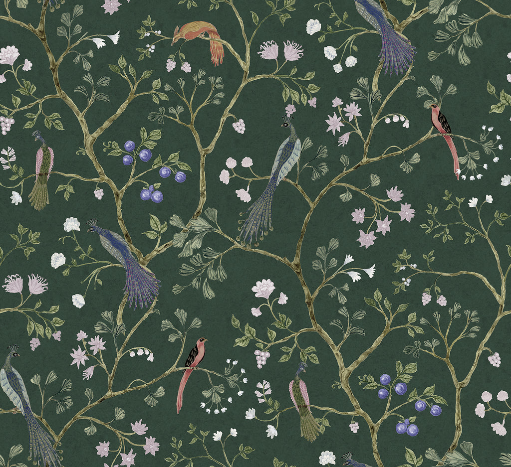 Song Birds, Animal Pattern Wallpaper featuring several colorful birds