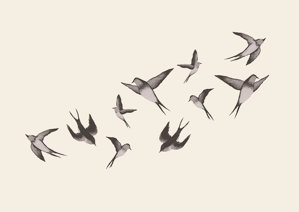 Swallows, Wall Decals in Black White Close Up