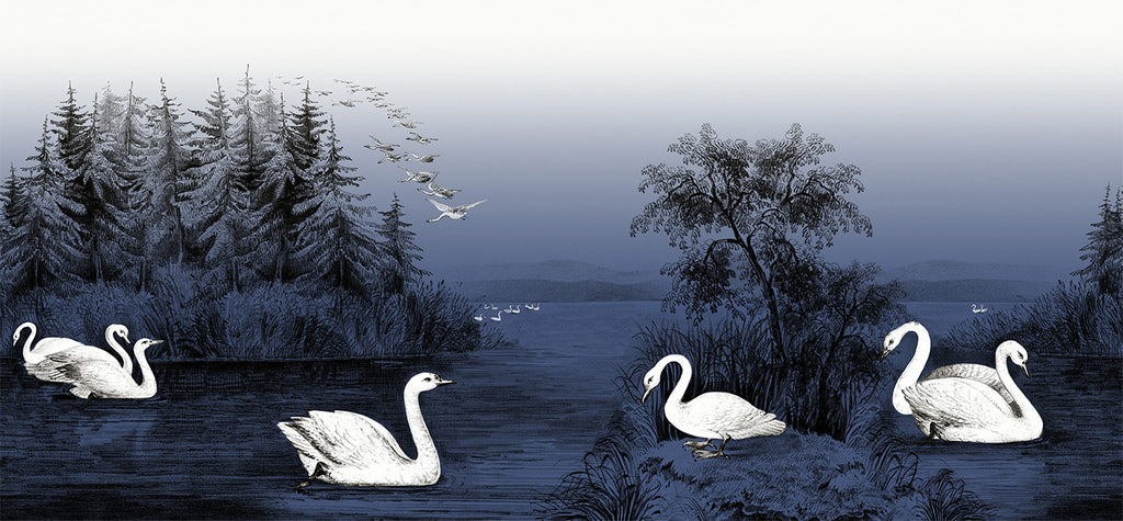 Swan Lake, Nature Mural Wallpaper in dark blue closeup 