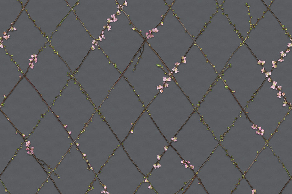 Close up of Winding Spring Wallpaper features Delicate flowers and small buds creep along diamond-shaped vines set amongst a dark background