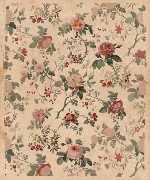 Rose Garden Wallpaper- Blush