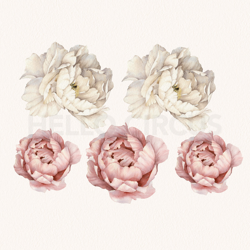 Peonies Pack Wall Decals closeup
