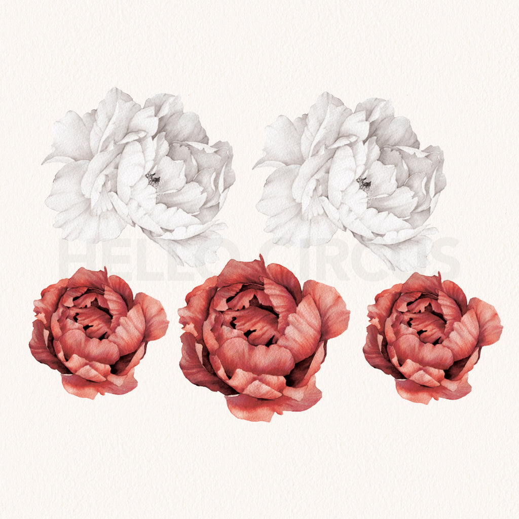 Peonies Pack Wall Decals closeup