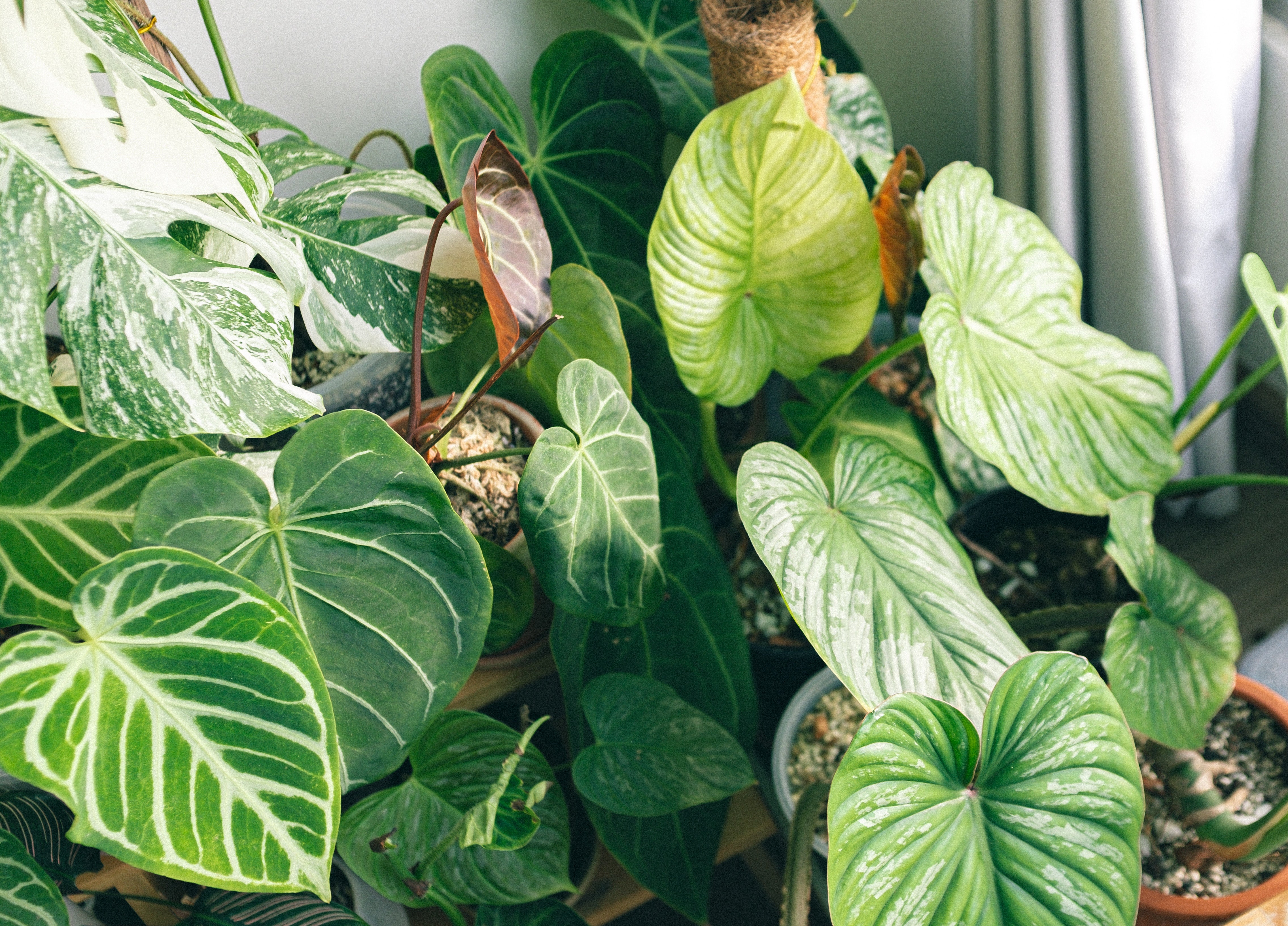 Blog Images
